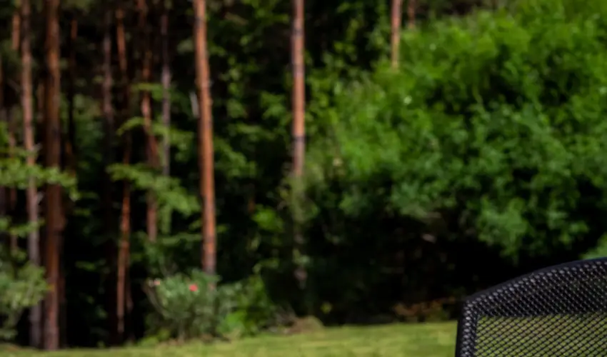 Gosztola Gy�ngye-az erd� sz�llod�ja Gosztola - Gosztola Wellness Pihen�s (min. 2 �j)