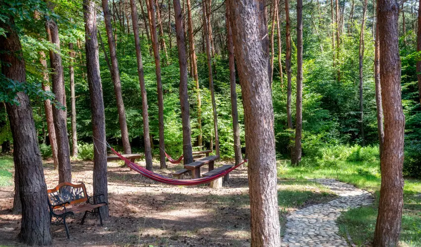 Gosztola Gy�ngye-az erd� sz�llod�ja Gosztola - Gosztola Wellness Pihen�s (min. 2 �j)