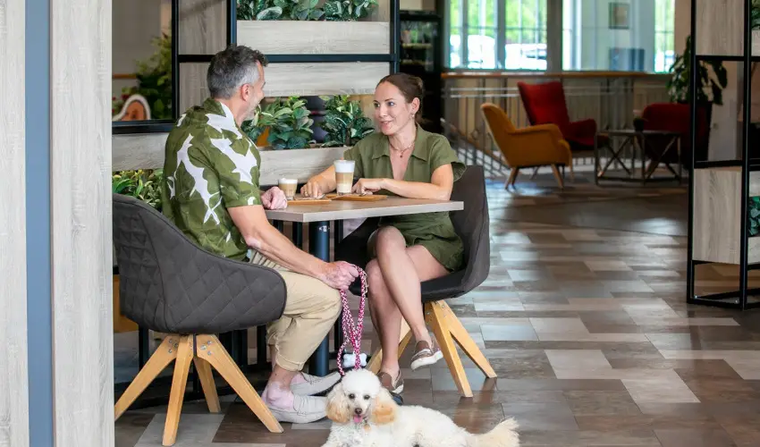 Gotthard Therme Hotel & Conference Szentgotthárd - Előrefizetési kedvezmény félpanzióval, fürdőbelépővel (min. 2 éj)