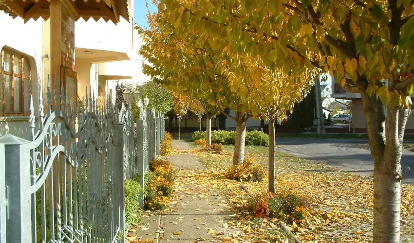 Hajd� Kast�ly Hotel Hajd�szoboszl� - Legjobb �r reggelivel (min. 2 �j)