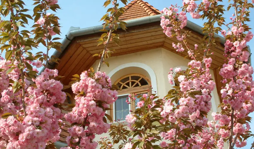 Hajd� Kast�ly Hotel Hajd�szoboszl� - Legjobb �r reggelivel (min. 2 �j)