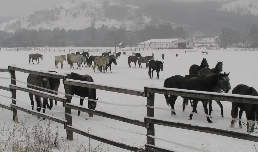 Aliz Villa Szilvsvrad - Wellness pihens privt jacuzzi hasznlattal (min. 2 j)