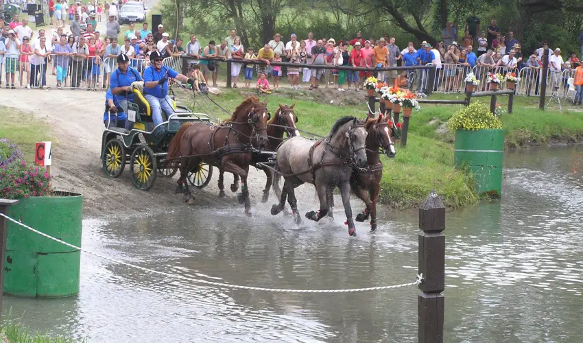 Aliz Villa Szilvsvrad - Wellness pihens privt jacuzzi hasznlattal (min. 2 j)