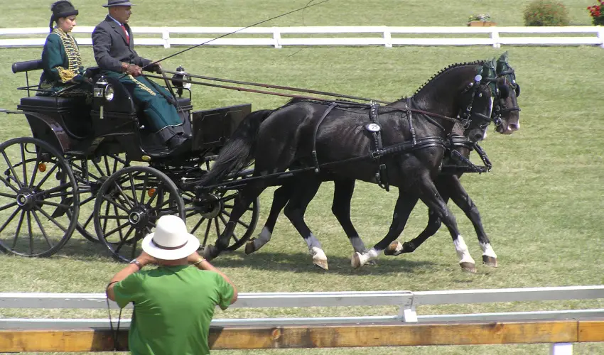 Aliz Villa Szilvsvrad - Wellness pihens privt jacuzzi hasznlattal (min. 2 j)