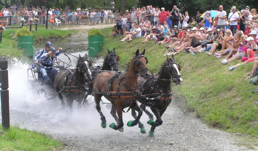 Aliz Villa Szilvsvrad - Wellness pihens privt jacuzzi hasznlattal (min. 2 j)