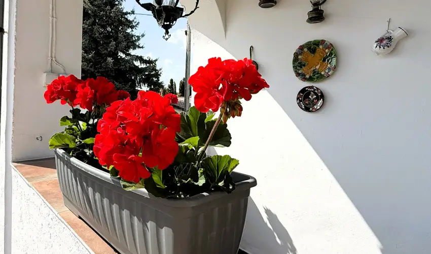 Harmony Vend�gh�z Egerszal�k - Kedvezm�nyes �r csal�dok r�sz�reak ell�t�s n�lk�l