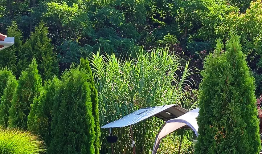Harmony Vend�gh�z Egerszal�k - Kedvezm�nyes �r csal�dok r�sz�reak ell�t�s n�lk�l