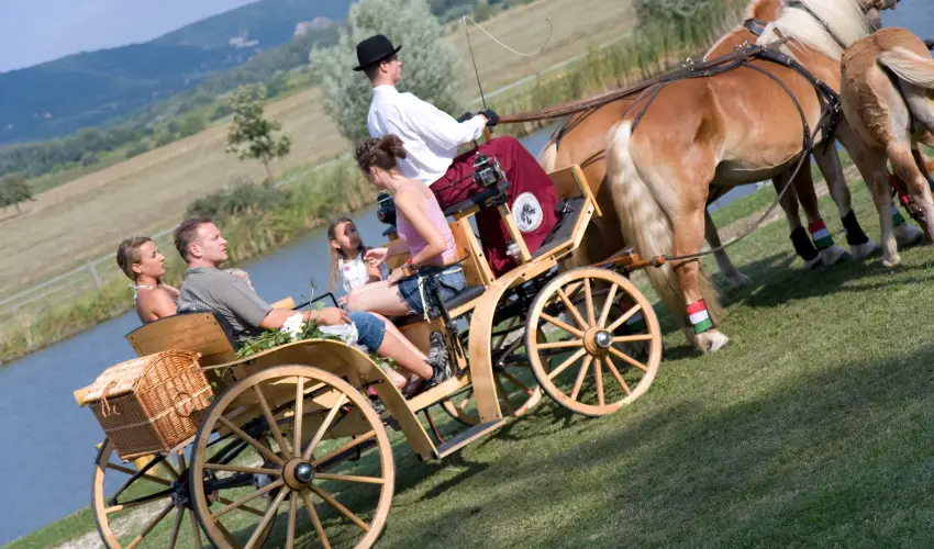 H�tk�ti Wellness Hotel & Lovaspark M�r - Kedvezm�nyes �r csal�dok r�sz�reak reggelis ell�t�ssal (1 �jt�l)