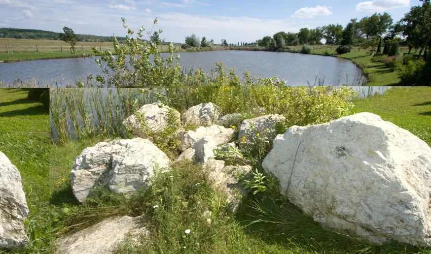 H�tk�ti Wellness Hotel & Lovaspark M�r - Kedvezm�nyes �r csal�dok r�sz�reak reggelis ell�t�ssal (1 �jt�l)