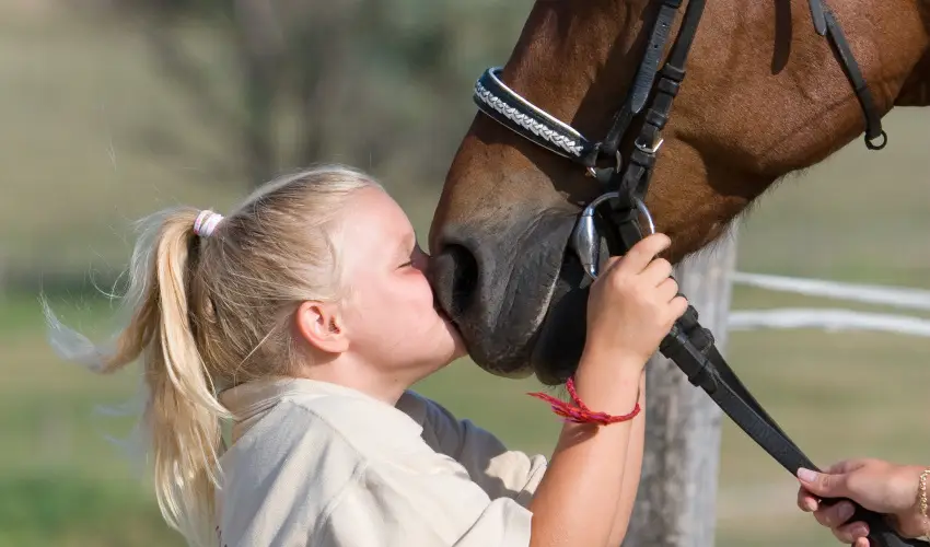 H�tk�ti Wellness Hotel & Lovaspark M�r - Kedvezm�nyes �r csal�dok r�sz�reak reggelis ell�t�ssal (1 �jt�l)