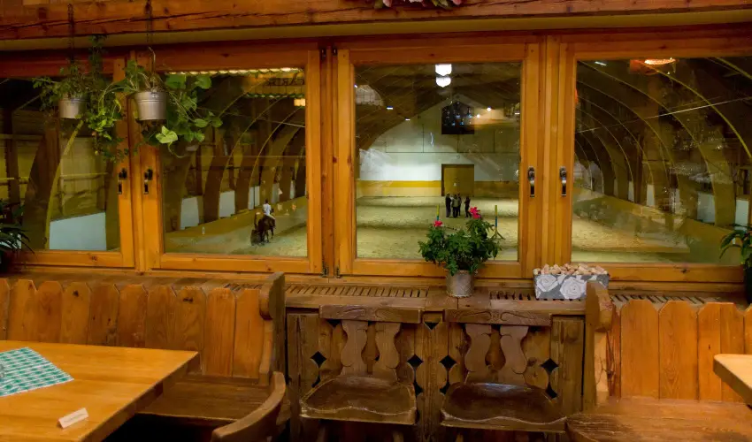 H�tk�ti Wellness Hotel & Lovaspark M�r - Kedvezm�nyes �r csal�dok r�sz�reak reggelis ell�t�ssal (1 �jt�l)