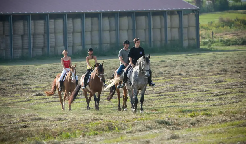 H�tk�ti Wellness Hotel & Lovaspark M�r - Kedvezm�nyes �r csal�dok r�sz�reak reggelis ell�t�ssal (1 �jt�l)