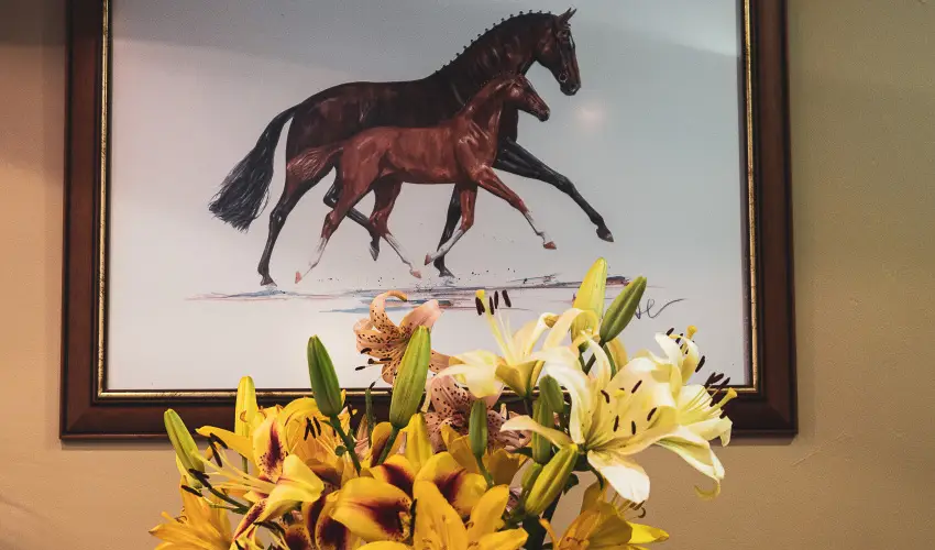 H�tk�ti Wellness Hotel & Lovaspark M�r - Kedvezm�nyes �r csal�dok r�sz�reak reggelis ell�t�ssal (1 �jt�l)