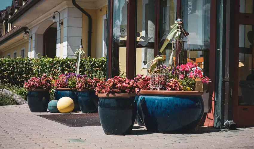 H�tk�ti Wellness Hotel & Lovaspark M�r - Kedvezm�nyes �r csal�dok r�sz�reak reggelis ell�t�ssal (1 �jt�l)