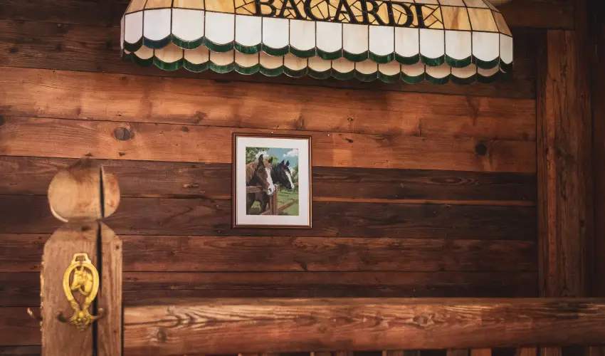 H�tk�ti Wellness Hotel & Lovaspark M�r - Kedvezm�nyes �r csal�dok r�sz�reak reggelis ell�t�ssal (1 �jt�l)