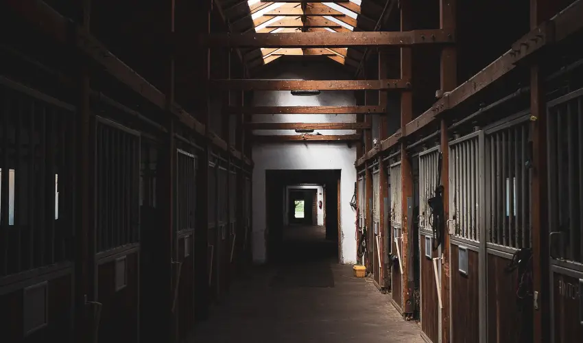 H�tk�ti Wellness Hotel & Lovaspark M�r - Kedvezm�nyes �r csal�dok r�sz�reak reggelis ell�t�ssal (1 �jt�l)