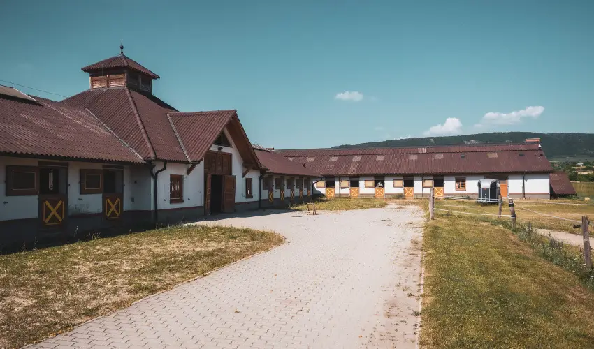 H�tk�ti Wellness Hotel & Lovaspark M�r - Kedvezm�nyes �r csal�dok r�sz�reak reggelis ell�t�ssal (1 �jt�l)