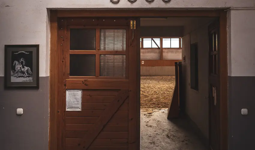 H�tk�ti Wellness Hotel & Lovaspark M�r - Kedvezm�nyes �r csal�dok r�sz�reak reggelis ell�t�ssal (1 �jt�l)