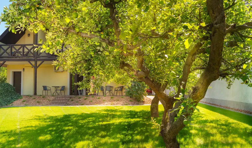 Honti Panzi� Visegr�d - Kedvezm�nyes �r csal�dok r�sz�reak (1 �jt�l)