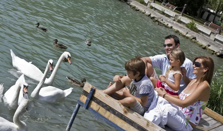 Danubius Hotel Annabella Balatonfred - Balatoni Pihens elfoglalssal (1 jtl)