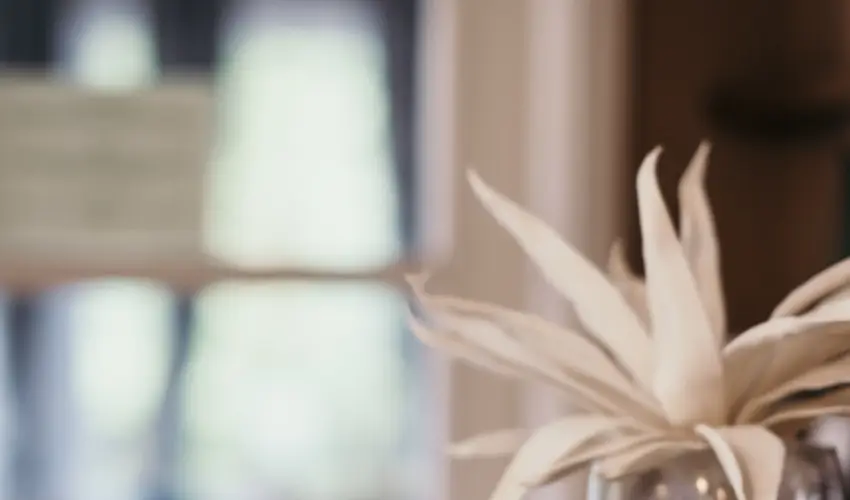 Hotel Arbortum Harkny - Kedvezmnyes r csaldok rszreak reggelis elltssal (1 jtl)