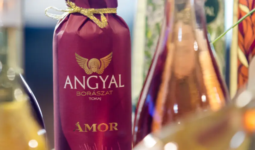 Hotel Aurum Hajdszoboszl - Kedvezmnyes r csaldok rszre flpanzival (1 jtl)