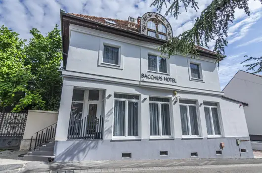 Hotel Bacchus - Kedvezmnyes r csaldok rszreak reggelis elltssal (1 jtl)