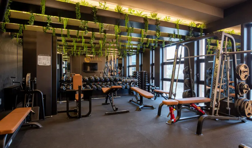 Hotel Bodrog Wellness & Elix Spa S�rospatak - F�lpanzi�s kedvezm�nyes �r (min. 2 �j)