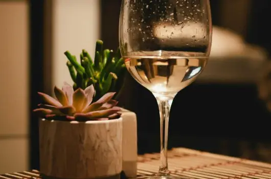 Hotel Bonvino Wine & Spa, Badacsony