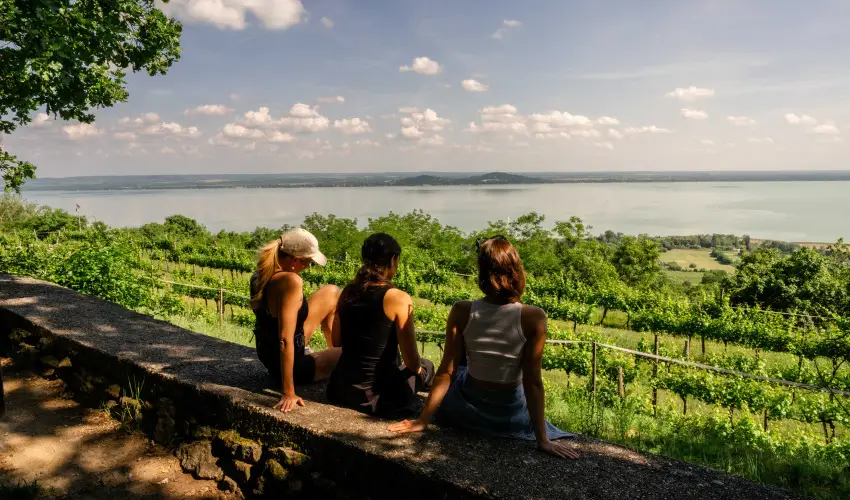 Hotel Bonvino Wine & Spa Badacsony - Kedvezm�nyes 2 �jszak�s aj�nlat