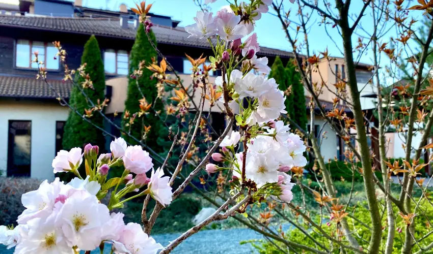 Caramell Premium Resort Bk, Bkfrd - Caramell a legjobb ron