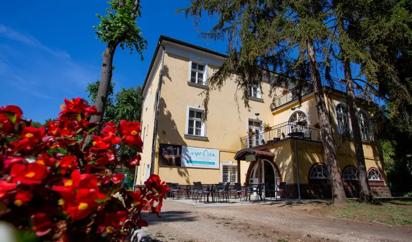 Hotel Carpe Diem Si�fok - Kedvezm�nyes �r csal�dok r�sz�reak reggelis ell�t�ssal (1 �jt�l)