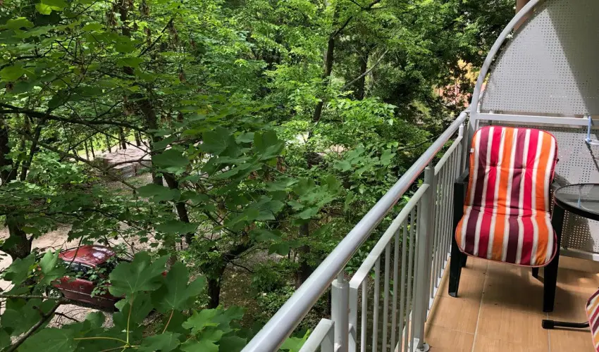 Hotel Eurpa Gunaras Dombvr - Kedvezmnyes r csaldok rszreak nelltssal (1 jtl)