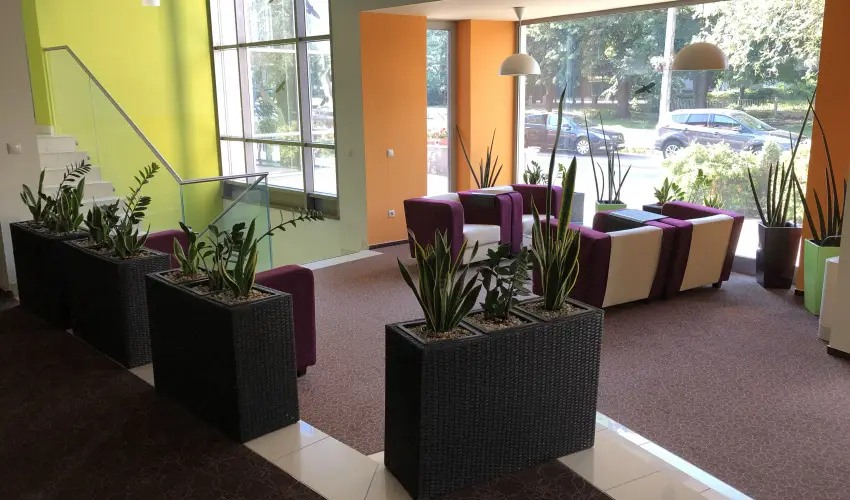 Hotel Eurpa Gunaras Dombvr - Kedvezmnyes r csaldok rszreak nelltssal (1 jtl)