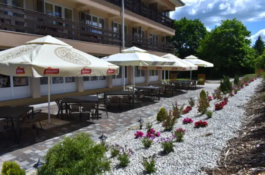 Hotel Forr�s Zalakaros - P�nk�sd