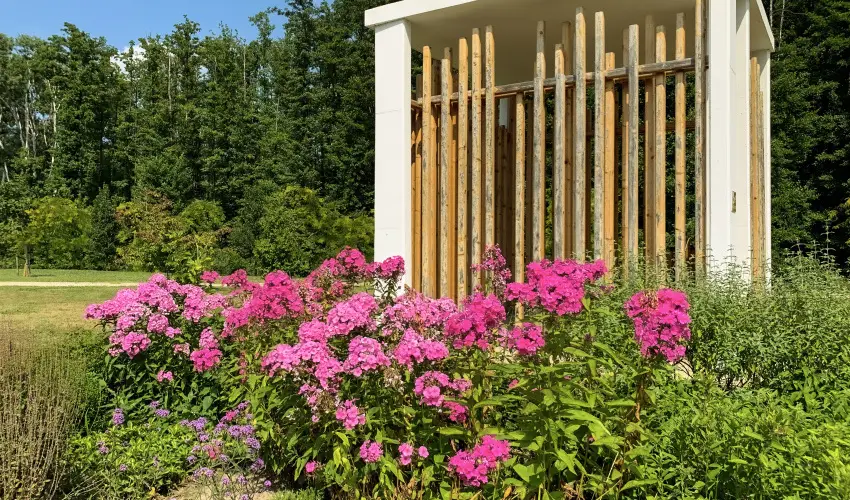 Hunguest Hotel Freya Zalakaros - Mulats htvge