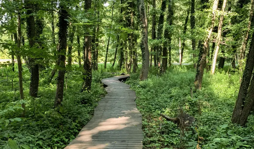 Hunguest Hotel Freya Zalakaros - Mulats htvge