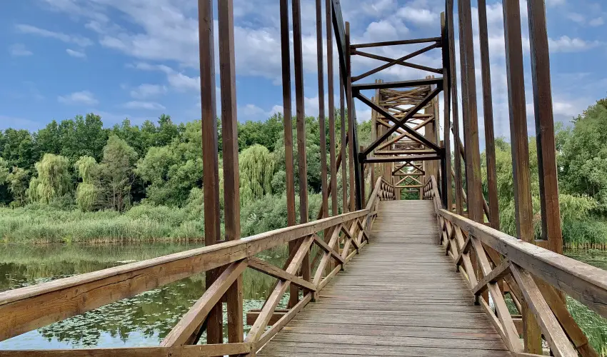 Hunguest Hotel Freya Zalakaros - Mulats htvge