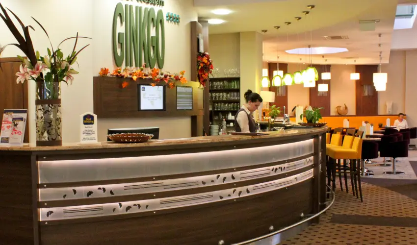 Hotel Ginkgo Hdmezvsrhely - Kedvezmnyes r csaldok rszreak reggelis elltssal (1 jtl)