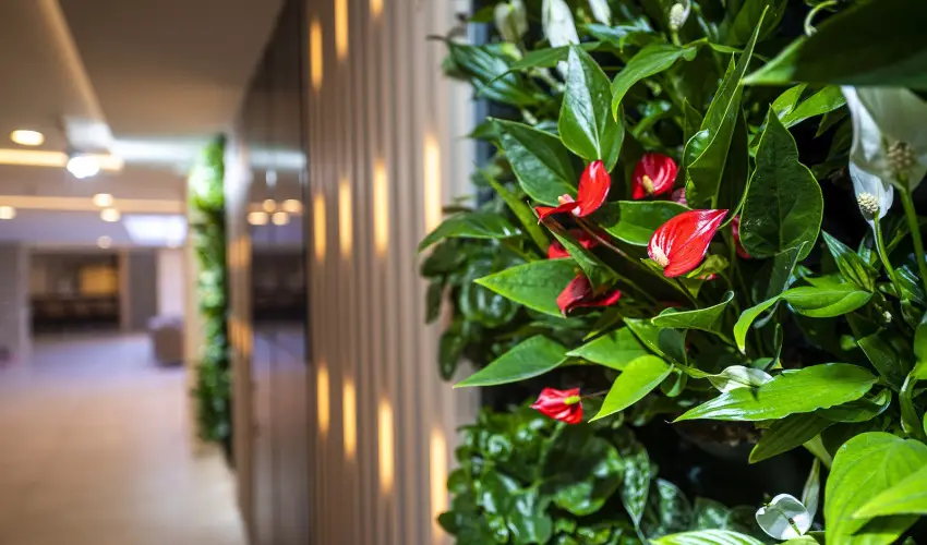 Greenfield Hotel Golf & Spa Bk, Bkfrd - Kedvezmnyes ajnlat flpanzival (min. 2 j)