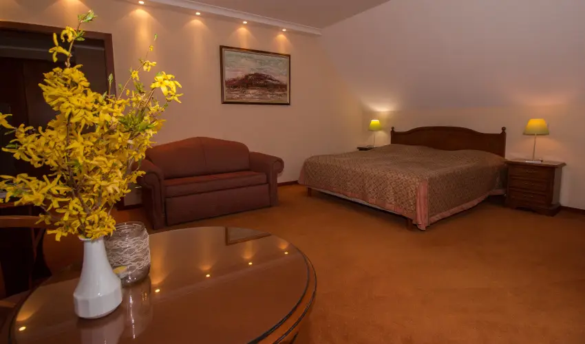 Hasik Hotel D�br�nte - Kedvezm�nyes �r f�lpanzi�val (min. 2 �j)