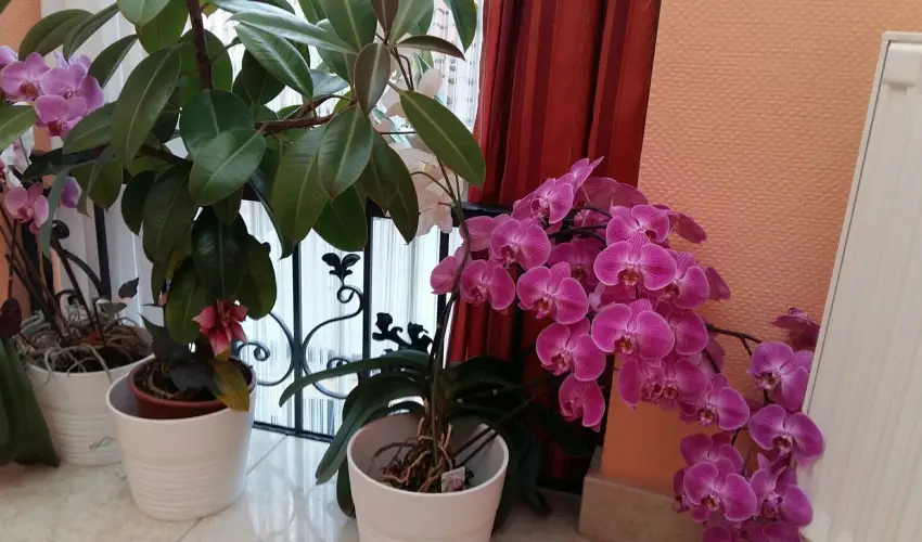 Hotel Isabell Gyr - Kedvezmnyes r csaldok rszreak reggelis elltssal (1 jtl)