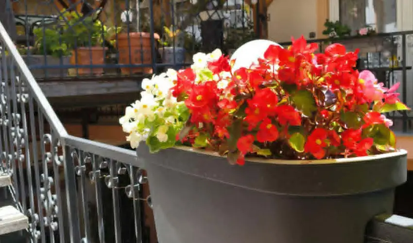 Hotel Isabell Gy�r - �szi csal�di felt�lt�d�s (min. 2 �j)