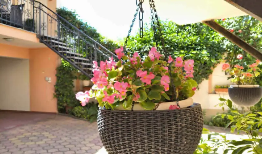 Hotel Isabell Gy�r - �szi csal�di felt�lt�d�s (min. 2 �j)
