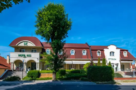 Hotel Kiss - P�nk�sd - f�lpanzi�s ell�t�ssal