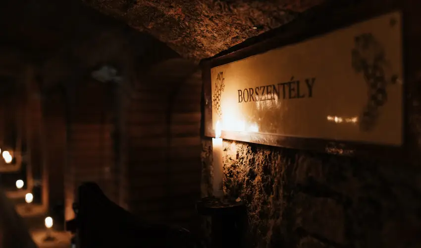 Hotel Korona Wellness, Rendezvny & Borhotel Eger Eger - Flpanzis ajnlat (1 jtl)