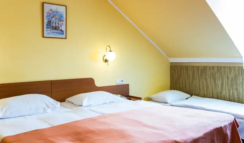 Hotel Korona Wellness, Rendezvny & Borhotel Eger Eger - Flpanzis ajnlat (1 jtl)