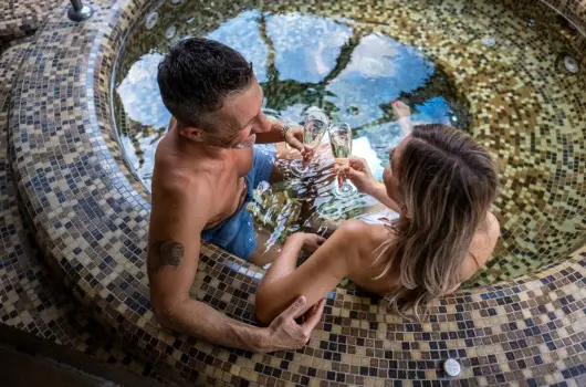 Hotel Laroba - Laroba wellness pihen�s f�lpanzi�val (1 �jt�l)
