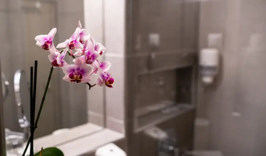 Hotel Margarta Balatonfred - Meghitt karcsony flpanzis elltssal (min. 2 j)