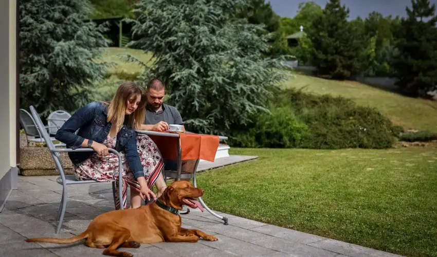 S�ndor Hotel P�cs - Kedvezm�nyes �r csal�dok r�sz�re reggelivel (1 �jt�l)